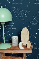 Обои Caselio Our Planet арт-101917125 — фото 3, Обои