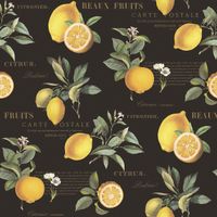 Обои Aura Just Kitchens арт-G45411 — фото 1, Обои