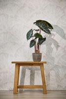 Обои 23 59777 Alive Eterna арт. арт-79082-3 — фото 2, Обои