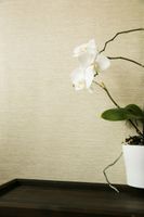 Обои Hohenberger Epic арт-63541 — фото 1, Обои