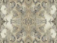 Обои York Candiсe Olson Botanical Dreams арт-DN3717 — фото 1, Обои