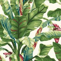 Товар: Обои York Tropics Resource Library арт-AT7068 - фото 1 Обои York Tropics Resource Library арт-AT7068 — фото 1, Обои