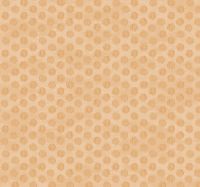 Обои Jaima Brown Notting Hill арт-JB91815 — фото 1, Обои