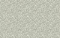 Обои Milassa Mirabelle арт-MR2-005-1 — фото 1, Обои для стен