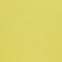 Обои Sanderson Painter's Garden арт-DAPGLD104 — фото 1, Обои