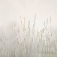 Фрески Affresco Trend Art арт-ZK420-COL3 — фото 1, Фрески