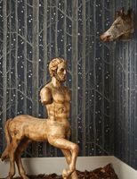 Обои Cole & Son Whimsical арт-103-11052 — фото 2, Обои