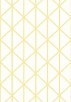 Обои Thibaut Tropics арт-T10136 — фото 1, Обои