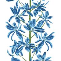 Обои Thibaut Wanderlust арт-T45032 — фото 1, Обои