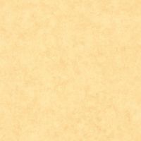 Обои Caselio Beton 2 Винил на флизелине (0,53*10,05) Желтый, Штукатурка арт-101482200 — фото 1, Обои для стен