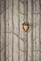 Обои Cole & Son Icons арт-112-3011 — фото 5, Обои