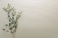 Товар: Обои Carl Robinson Edition 20 арт-CL50063 - фото 2 Обои Carl Robinson Edition 20 арт-CL50063 — фото 2, Обои