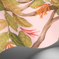 Обои Cole & Son Hummingbirds Cream арт-124-2009 — фото 4, Обои