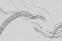 Фрески Fresq Pattern Roll арт-BRUSH19-05 — фото 1, Фрески