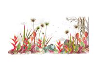 Товар: Обои Marburg Bombay 2 арт-30164 - фото 1 Обои Marburg Bombay 2 арт-30164 — фото 1, Обои