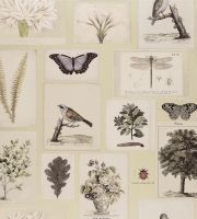 Обои Designers Guild Picture Book арт-PJD6001-03 — фото 1, Обои