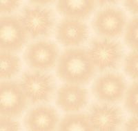 Обои Loymina Timeless арт-TS1-003 — фото 1, Обои