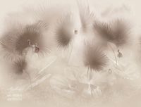 Фрески Applico Two арт-0029-A — фото 1, Фрески