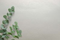 Товар: Обои Carl Robinson Edition 20 арт-CL50065 - фото 2 Обои Carl Robinson Edition 20 арт-CL50065 — фото 2, Обои