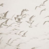 Обои Aura Panorama арт-V101-1-C — фото 1, Обои