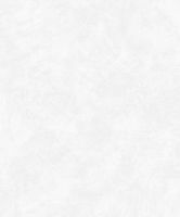 Обои Yasham Echo Винил на флизелине (1,06*10,05) Белый, Штукатурка арт-S-21555-1 — фото 1, Обои