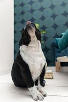 Обои Caselio Around арт-102886126 — фото 2, Обои для стен