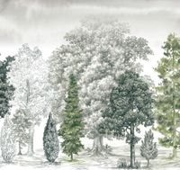 Обои Loymina Пейзаж vol. 2 арт-ART14-005-1 — фото 1, Обои