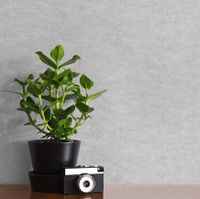 Товар: Обои Grandeco Gloria арт-R119013 - фото 2 Обои Grandeco Gloria арт-R119013 — фото 2, Обои для стен