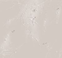 Фрески Applico Barelief Line арт-B0074-GL1 — фото 1, Фрески