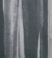 Обои Black Edition Astratto арт-W386-02 — фото 1, Обои