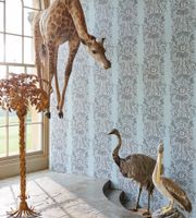 Обои Clarke & Clarke Animalia арт-W0102-08 — фото 2, Обои