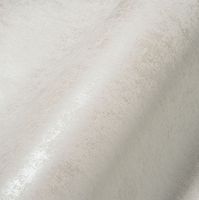 Обои AS Creation Original View Винил на флизелине (0,53*10,05) Серый, Штукатурка арт-38969-7 — фото 4, Обои