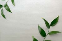 Обои Carl Robinson Edition 20 арт-CL50062 — фото 2, Обои