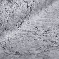 Товар: Обои Shinhan Natural арт-88644-3 - фото 2 Обои Shinhan Natural арт-88644-3 — фото 2, Обои