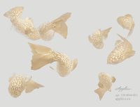 Фрески Applico Three арт-0044-BR1 — фото 1, Фрески