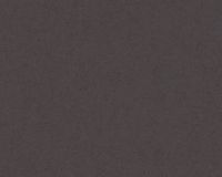 Обои A.S. Creation Versace IV арт-37050-4 — фото 1, Обои