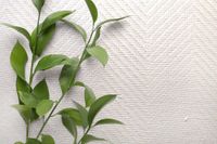 Товар: Обои Carl Robinson Edition 20 арт-CL50035 - фото 2 Обои Carl Robinson Edition 20 арт-CL50035 — фото 2, Обои