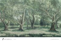 Фрески Fresq Pattern Roll арт-OAKS32-01 — фото 1, Фрески