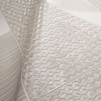 Товар: Обои Zambaiti Parati Lamborghini II Винил на флизелине (0,7*10,05) Серый, Геометрия арт-90037 - фото 2 Обои Zambaiti Parati Lamborghini II Винил на флизелине (0,7*10,05) Серый, Геометрия арт-90037 — фото 2, Обои