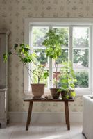 Обои Borastapeter Osterlen арт-6951 — фото 6, Обои