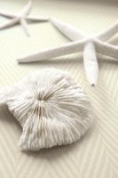 Обои Wallquest Yacht Club арт-YC61604 — фото 2, Обои