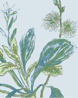 Товар: Обои Anna French Bristol арт-AT57851 - фото 2 Обои Anna French Bristol арт-AT57851 — фото 2, Обои