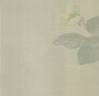 Обои Baoqili BM-1 арт-BM-1-91338-13 — фото 1, Обои