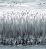 Обои Italreflexes Kata арт-KAD508 — фото 1, Обои