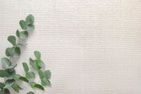 Товар: Обои Carl Robinson Edition 20 арт-CL50041 - фото 2 Обои Carl Robinson Edition 20 арт-CL50041 — фото 2, Обои