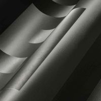 Обои A.S. Creation Versace 5 арт-38609-1 — фото 2, Обои