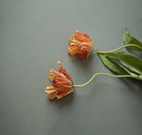 Обои Loymina British Style Garden арт-Brit13-010-1 — фото 2, Обои