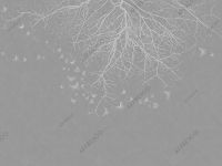 Фрески Affresco Line Art арт-AF2157-COL4 — фото 1, Фрески