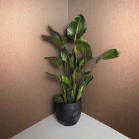 Обои Marburg Eclectic Флизелин (0,70*10,05) Коричневый, Однотонный арт-34949 — фото 4, Обои