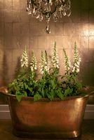 Обои Cole & Son Foundation арт-92-2010 — фото 3, Обои